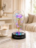 Personalized Galaxy Rose Dome | Enchanted LED Light Anniversary Gift | Romantic Gift for Couples