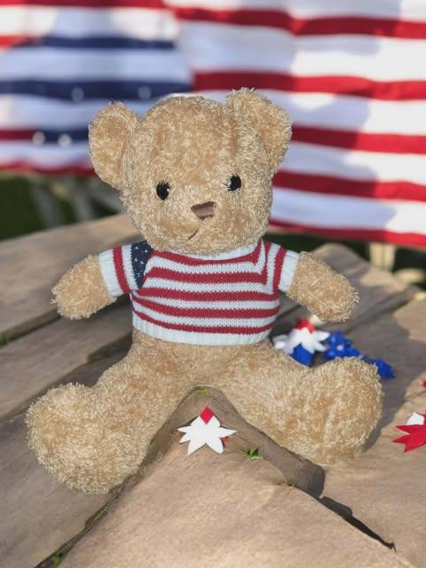 Patriotic USA Teddy Bear | 4th of July Plush Bear | USA Stuffed Animal Custom USA Sweater Teddy Bear