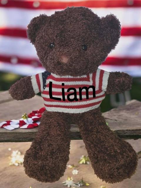Patriotic USA Teddy Bear | 4th of July Plush Bear | USA Stuffed Animal Custom USA Sweater Teddy Bear